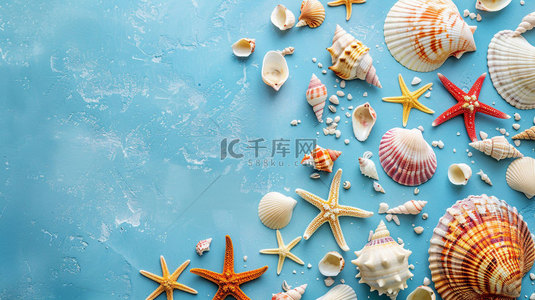 海螺海星背景图片_海星贝壳海螺合成创意素材背景