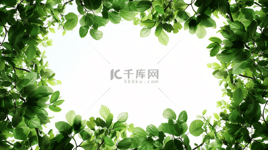 树叶绿色植物背景图片_夏季绿色植物叶子装饰边框背景