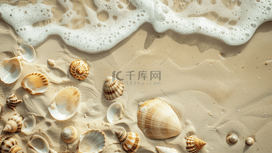 休闲零食分类背景图片_夏季海边贝壳沙滩装饰背景