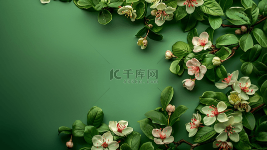 植物边框小清新背景图片_夏季绿色植物花朵装饰自然边框背景