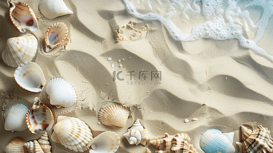 沙滩贝壳背景图片_夏季海边贝壳沙滩装饰背景