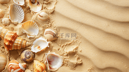贝壳沙子背景图片_夏季海边贝壳沙滩装饰背景