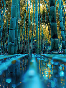 竹枝摄影照片_绿竹林中的雨后小路图片