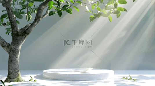 水果台子圖背景图片_阳光照射室内盆景植物的背景