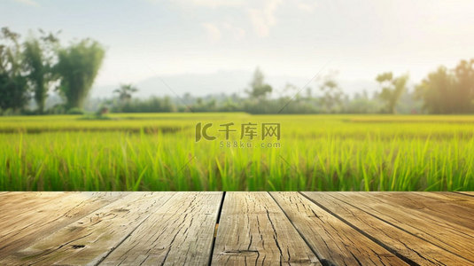木板田野水稻合成创意素材背景
