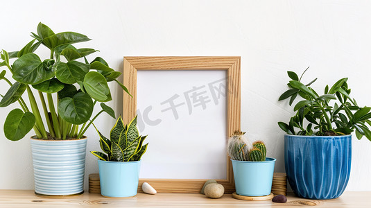 电商植物摄影照片_绿植盆栽装饰的木质展示框图片