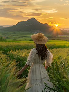 麦田人像摄影白色裙子美女高清图片