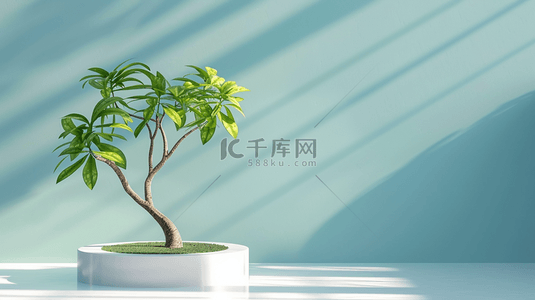 唯美台子背景图片_简约时尚现代室内阳光照射盆景植物的背景