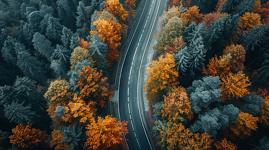 大自然乡村森林道路图片