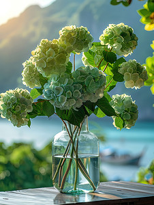 玻璃花瓶里的绿色绣球花摄影配图