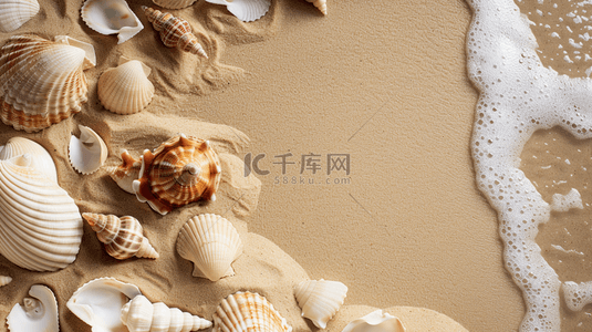 夏季海边贝壳沙滩装饰背景