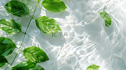 水中绿叶小清新装饰背景
