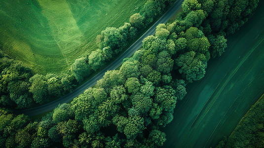 大自然乡村森林道路照片