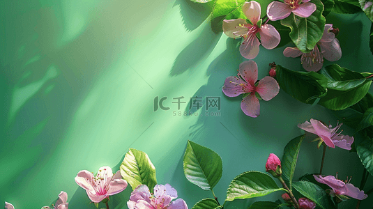 花朵小清新边框背景图片_夏季绿色植物花朵装饰自然边框背景