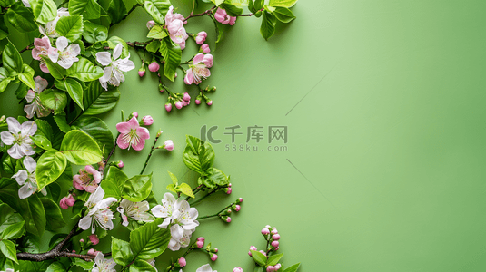 夏季绿色植物花朵装饰自然边框背景