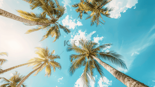 度假夏季背景图片_蓝色夏季海边椰子树装饰背景