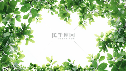 夏季绿色植物叶子装饰边框背景