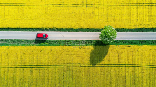公路合成背景图片_油菜花汽车公路合成创意素材背景