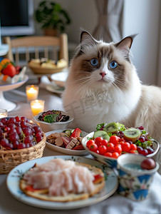 美食摄影照片_丰盛美食前的猫咪摄影配图