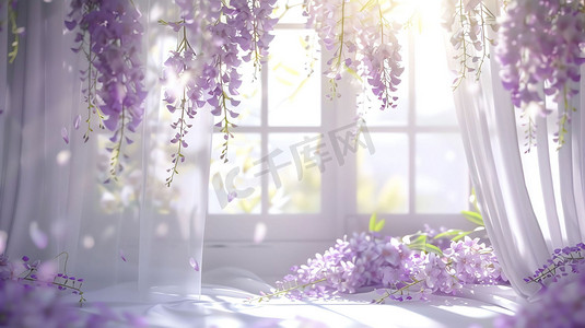 室内窗帘紫藤萝阳光摄影照片