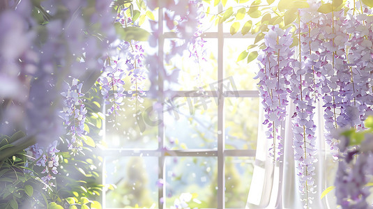 室内窗帘紫藤萝阳光摄影照片