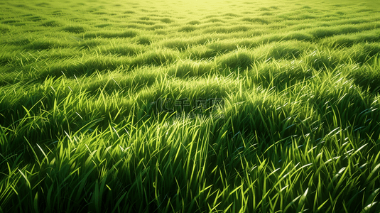 辽阔的青青草地背景