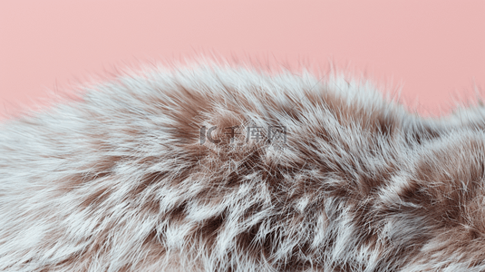 猫皮毛背景图片_粉红底上的动物毛发背景