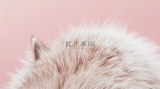 猫猫狗狗背景图片_粉红底上的动物毛发背景