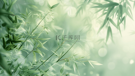 植物树叶背景图片_夏季清新文艺户外树木树叶的背景