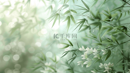 夏季清新文艺户外树木树叶的背景