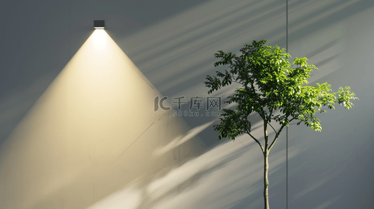 树叶左上角背景图片_阳光照射墙面花瓶盆景的背景
