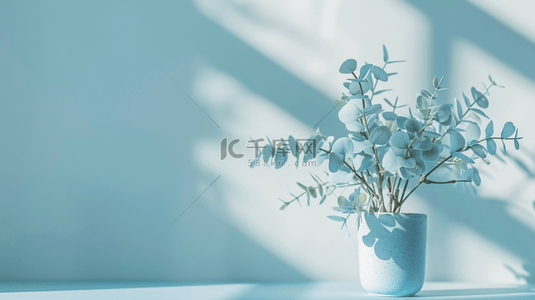 淡蓝色室内鲜花花瓶装饰背景