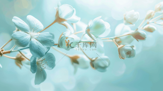 鲜花花瓶背景图片_淡蓝色室内鲜花花瓶装饰背景