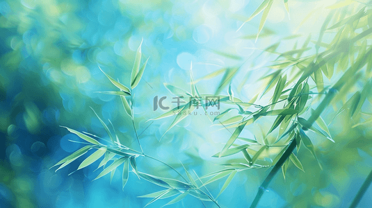 中式唯美缤纷树林竹子的背景