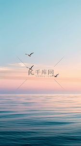 海鸥背景图片_清新文艺夏日静谧大海晚霞风景设计
