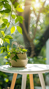 端午节中式竹林桌上的空竹筐背景图