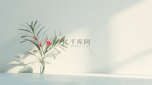 墙花朵背景图片_白色空间花瓶绿植阳光照射墙面的背景