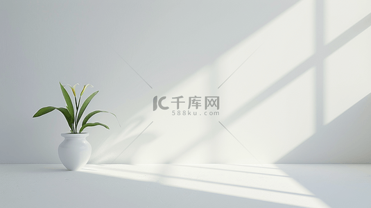 白色空间花瓶绿植阳光照射墙面的背景