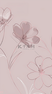 福袋线描背景图片_清新线描盛开的花朵手机壳背景