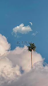 夏日云朵背景图片_文艺清新夏日白云椰子树背景素材
