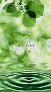 夏日场景绿叶水波光影空镜产品展示空间素材