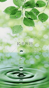夏日场景绿叶水波光影空镜产品展示空间设计