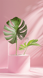 热带背景背景图片_夏天绿植芭蕉叶粉色背景产品展台