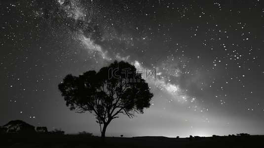 星空背景图片_黑色场景天空星空景色树木风光的商务背景