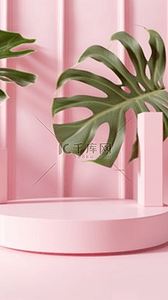 粉色绿植背景图片_夏天绿植芭蕉叶粉色背景产品展台
