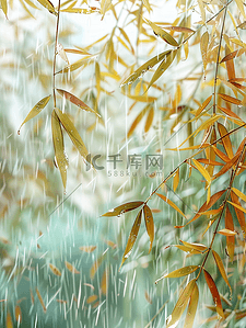 户外雨季河面上树枝树叶的背景