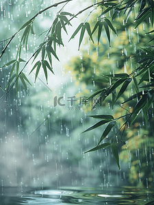 户外雨季河面上树枝树叶的背景