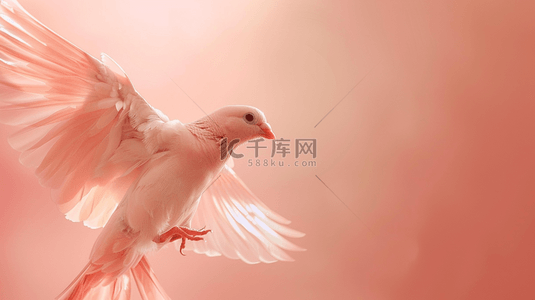 清新唯美粉色场景白色小鸟的背景