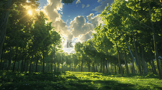 阳光光芒照射绿色森林风景的背景