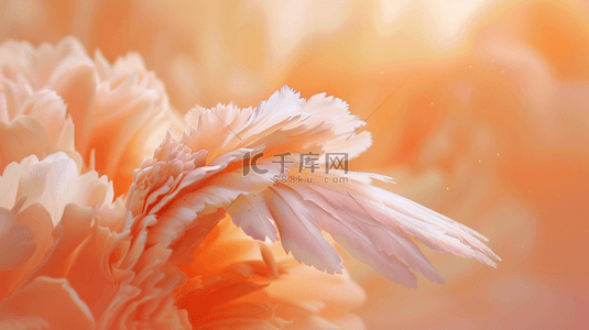 花束背景图片_唯美自然粉色花朵花束的背景